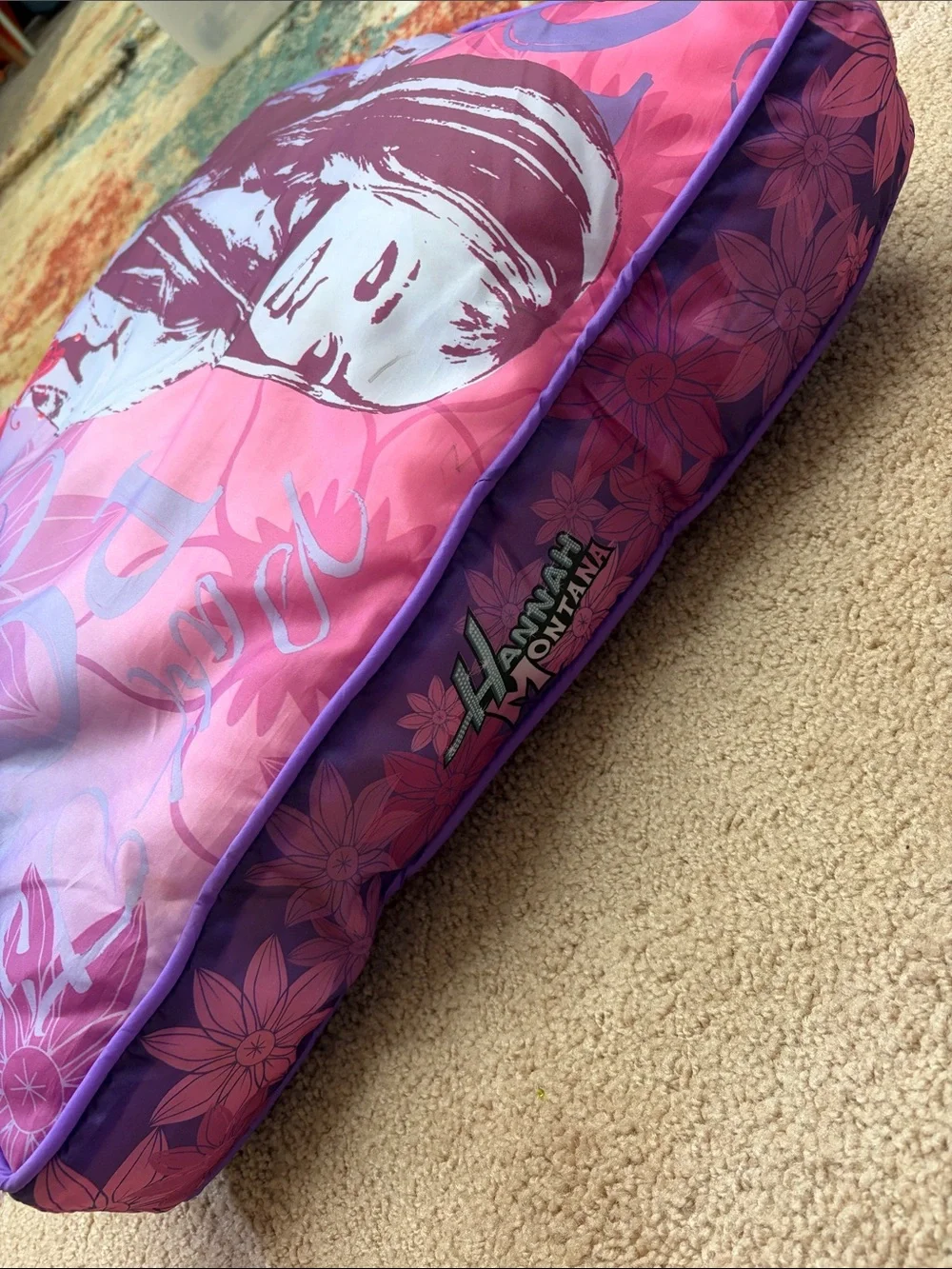 Disney/Hannah Montana hannah montana